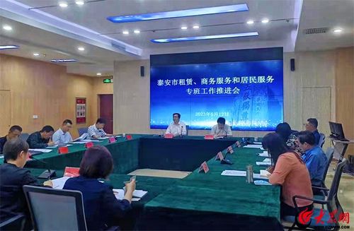 泰安市租赁、商务服务和居民服务专班工作推进会召开 聚焦软件开发与应用
